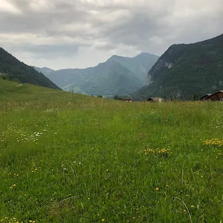 Les Oursons Bonnevaux (Haute-Savoie)